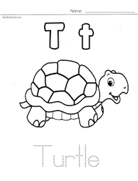 T for Turtle