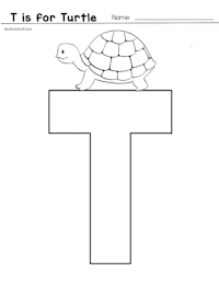 T Turtle