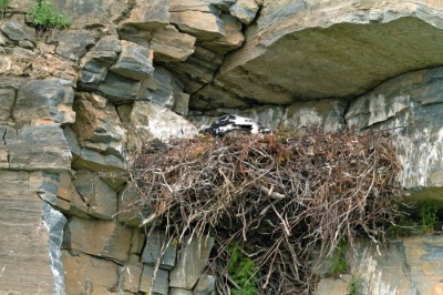 Golden Eagle Nest Outcrop