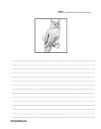 Owl Story Paper-1