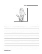 Owl Story Paper-1