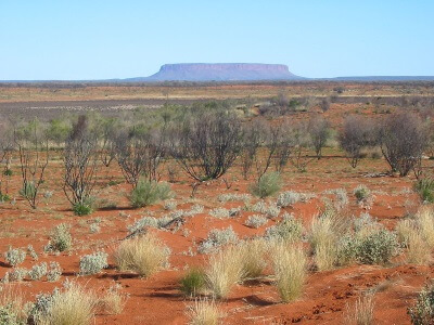 sand plains and salt pans to Mount Connor, Central Australia