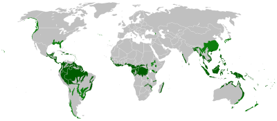 Map Tropical Rainforest