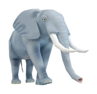 Model Elephant