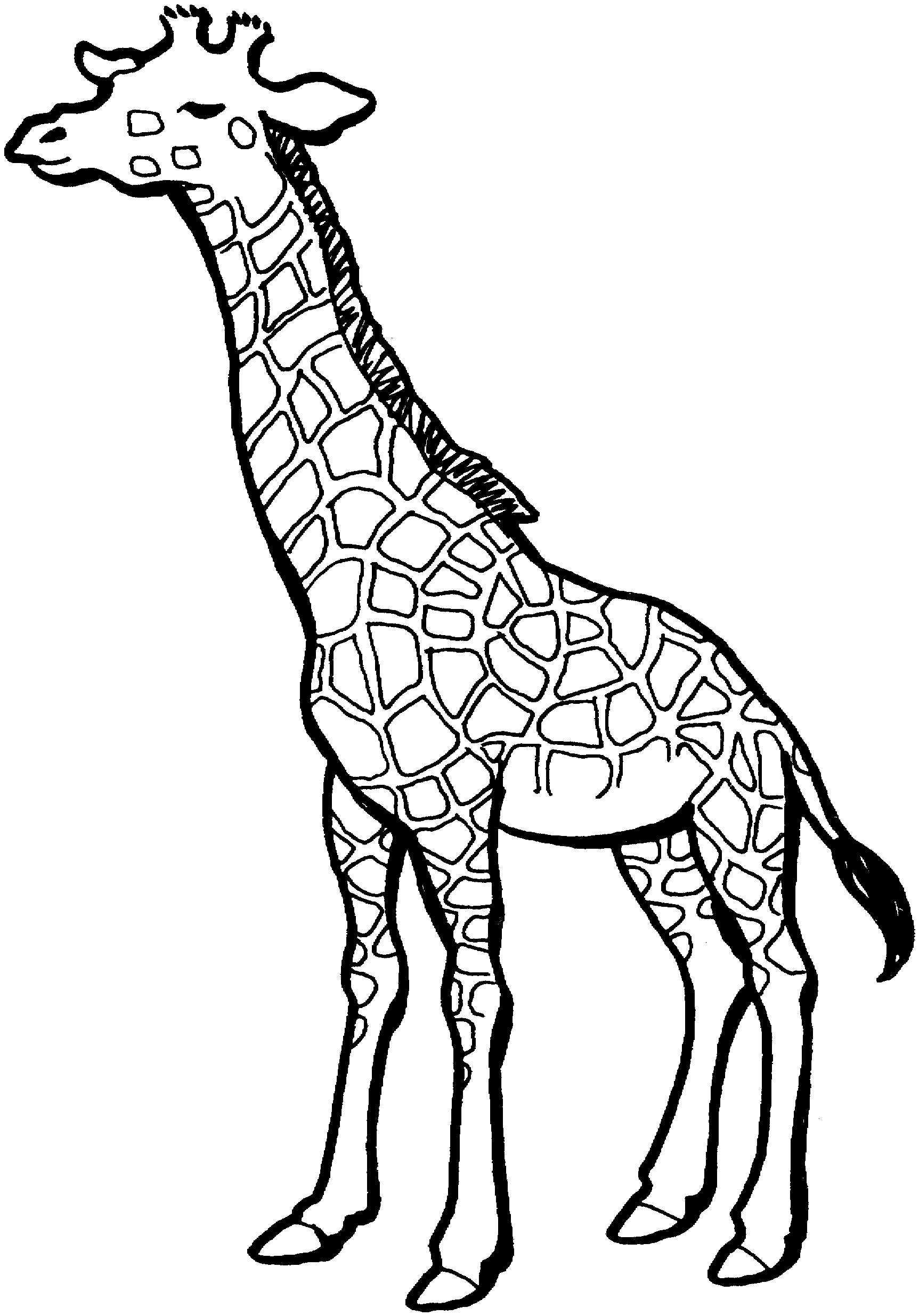a-to-z-kids-stuff-giraffe-pattern