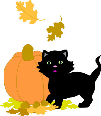 Halloween pumpkin black cat