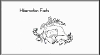 Hibernation Facts