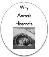 Why Animals Hibernate mini book