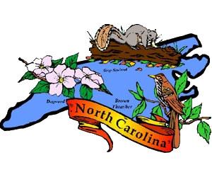 North Carolina State Symbols