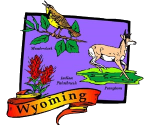 Wyoming State Symbols