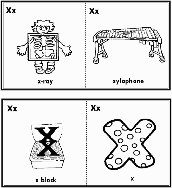 The gallery for --> Objects That Start With The Letter X
