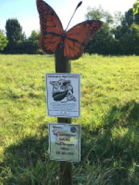 Monarch Butterfly Waystation