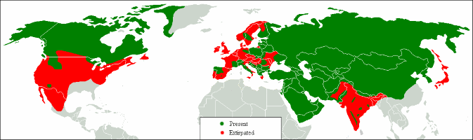 gray wolf distribution map