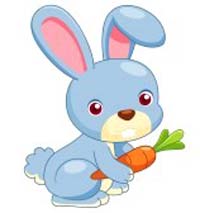 Rabbit Theme Preschool and Kindergarten