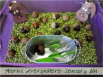 Acorns Sensory Bin