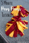 Gryffindor pom poms