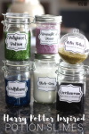 Harry Potter Potion Slimes