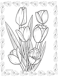 Tulips Coloring Page