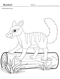 Numbat Coloring Page