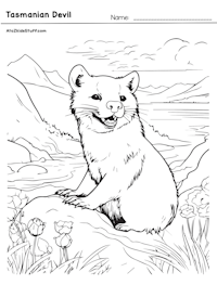 Tasmanian Devil Coloring Page