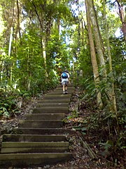 Bukit Timah Hill