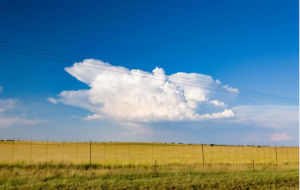 Grassland Farming Area