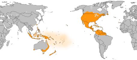 Monarch Distribution Map