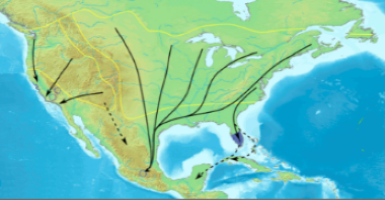 Monarch Butterfly Migration Map