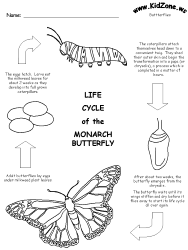 Monarch Butterfly Life Cycle Information