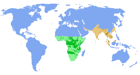 Distribution map of elephants.
