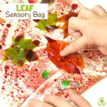 Leaf Sensory Bags