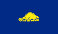 Reverse side of Oregon Flag