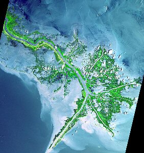 Mississippi River Delta from space